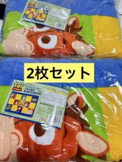 2枚セットトイ・ストーリー ナイショパーティー 大きな毛布