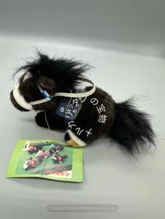 2025年最新】avanti ぬいぐるみの人気アイテム - メルカリ