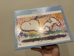 新品 トム・エバハート アポロ社 スヌーピー 「ビーグルクラブ」 パズル m52551109463_1.jpg?1755950375