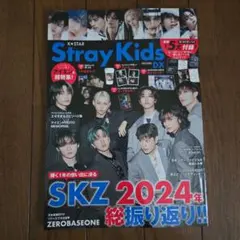 K☆STAR Stray Kids DX 2024年総振り返り