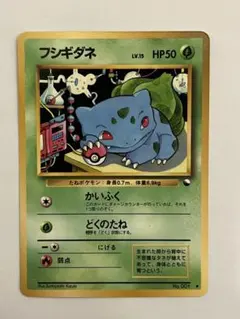 フシギダネ　ポケモンカード　旧裏