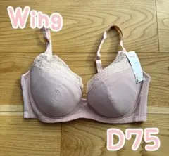 Item thumbnail for item 45861813-a984-48c3-8dfc-e2a9390f2dad