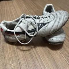 MIZUNO MORELIA 25センチ