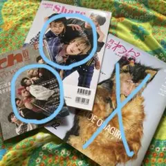 雑誌3冊セット FINEBOYS ch FILES 月刊わんこ
