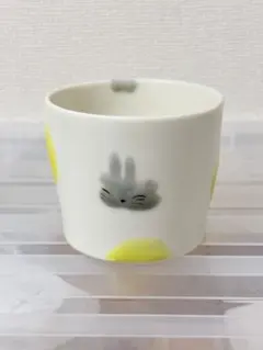 Item thumbnail for item 3d0712b5-2850-440b-ba20-1d7148468a69