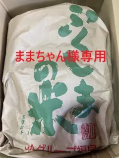 ままちゃん様専用玄米のサムネイル