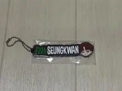 SEVENTEEN PetiTEEN 一番くじ ラバーチャーム スングァン