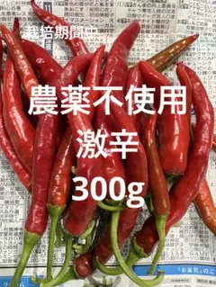新物】激辛乾燥唐辛子 熊鷹40g - メルカリ