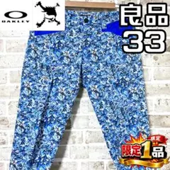 Item thumbnail for item 34be99a9-d8e7-4ca9-a311-7e279dcf9a84