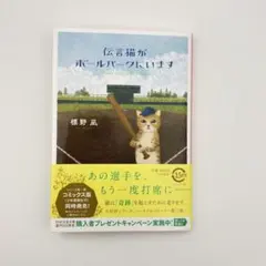 伝言猫がボールパークにいます