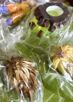 ドラゴンボール Z ドラカプ 2種 未来を掴め スーパーサイヤ人3