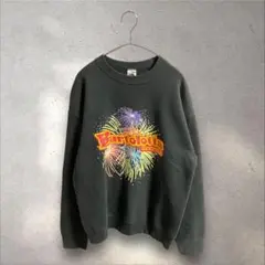 【⭐️激レア⭐️】 USA製 90s フルーツオブザルーム スウェット Lサイズ