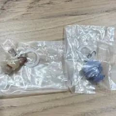 ポケモン めじるしアクセサリー ピチュー ニャスパー めじるしアクセサリー