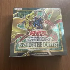 2025年最新】ライズオブザデュエリスト box 未開封の人気