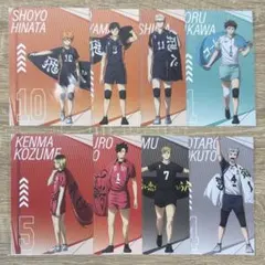 ハイキュープラザ2025 ポストカード 購入特典　コンプリート