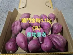 さつまいも鳴門金時1.1kg(丸)67