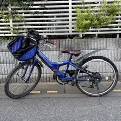 2026年最新】子供用自転車 22インチ ブリヂストンの人気アイテム