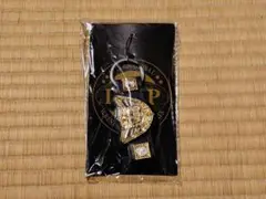新日本プロレス IWGP世界ヘビー級チャンピオンベルトストラップ