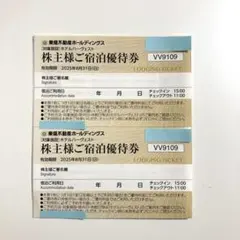 東急ハーヴェスト 株主優待券　宿泊優待券 2枚