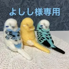 リクエストNO.2578☆セキセイインコ☆3点セット