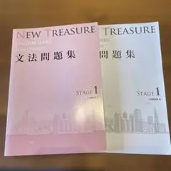 NEW TREASURE 文法問題集 解答編 STAGE 1