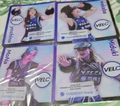 マークスミス 直筆サイン オンサイトカード 長崎ヴェルカ ② V・ファーレン長崎 3 関口正大選手 オンサイトカード SR,N 直筆