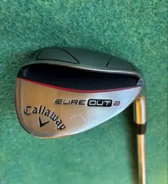 Item thumbnail for item 3068e267-5ca4-43b8-9492-79d15ba10877