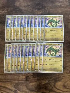 MEGAドリームex レックウザ レア24枚