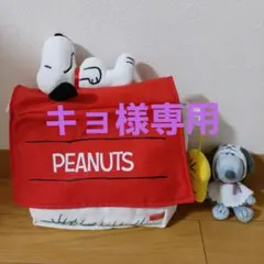 キョ様専用ページです。(キョ様以外のご購入はお控えください。)