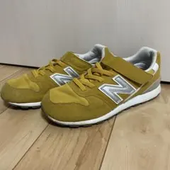 Item thumbnail for item 439ec2d4-976a-4012-babf-56ccf0a07d38