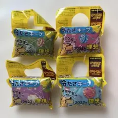 ペットボトルカバー　ポケモン　和柄デザイン　2022年　伊藤園