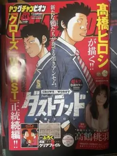 2026年最新】ダストランドの人気アイテム - メルカリ