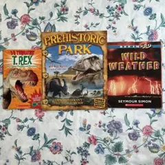 Item thumbnail for item 4bde93e9-7f2c-4731-aaec-060c73ddd4d4