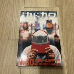 別冊カドカワ NIGO feat. A BATHING APE
