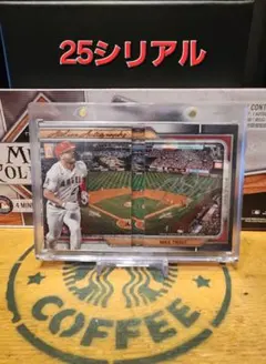 Item thumbnail for item cbc53349-9c4c-4800-863e-6cbc899ef854