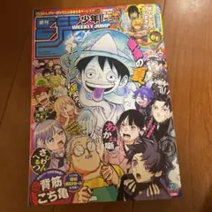 週刊少年ジャンプ レカフィグ ルーシー 応募者全員サービス 応募券無し