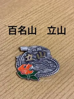金峰山 日本百名山 山バッジ - メルカリ