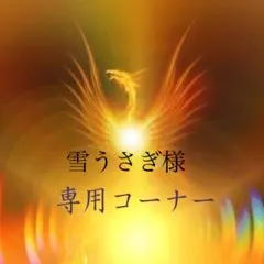 雪うさぎ　様専用