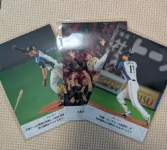 ホ*ー様 ファイターズ 大谷翔平 西川遥輝 栗山監督 野球フォトカード 3枚セッのサムネイル