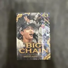 長谷川信哉 記念グッズ