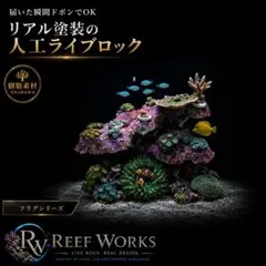 Reef Works プラグ穴付き樹脂製人工ライブロック サンゴ海水 レプリカ3