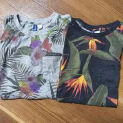 H&M DIVIDED ボタニカル柄 ポケットTシャツ 2枚セット　Sサイズのサムネイル