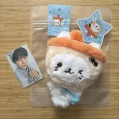 NCT WISH WISHDOLL ユウシ ぬいぐるみ バブルニャン通常サイズ | Mercari