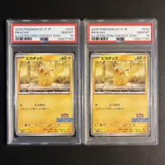 Item thumbnail for item 183de944-4ad0-4664-b379-f93d7059dc41