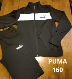 PUMA ジャージ上下セット 160