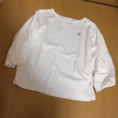 Item thumbnail for item d6e94c2f-71c0-427b-a529-28f6cdf0dcd4