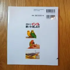 かわいいインコの飼い方・楽しみ方