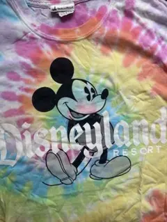 2026年最新】アナハイム ディズニー tシャツの人気アイテム - メルカリ