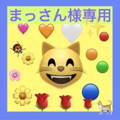 インド刺繍リボン 猫の顔 - メルカリ