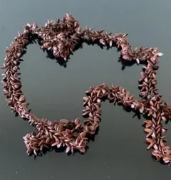 Item thumbnail for item fcf22790-9c16-4f2c-86b9-a1f436ae0b65